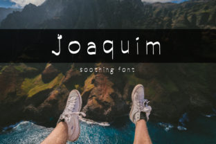 Joaquim Font Review: A Designer’s Perspective