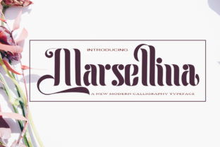 Marsellina: A Handwritten Font with Heart for Web Design